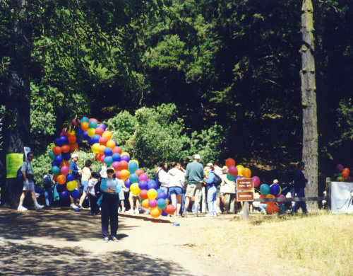 Tons of Balloons - June 2000