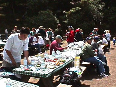 Picnic Time For Walkers  - June 2001