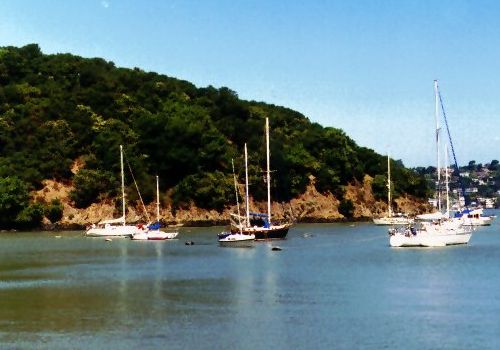 View of Angel Island - June 1997